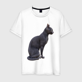 Мужская футболка хлопок с принтом Профиль сфинкса в Екатеринбурге, 100% хлопок | прямой крой, круглый вырез горловины, длина до линии бедер, слегка спущенное плечо. | 