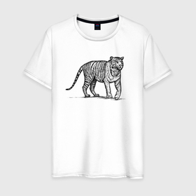 Мужская футболка хлопок с принтом Тигр гуляет в Белгороде, 100% хлопок | прямой крой, круглый вырез горловины, длина до линии бедер, слегка спущенное плечо. | Тематика изображения на принте: 