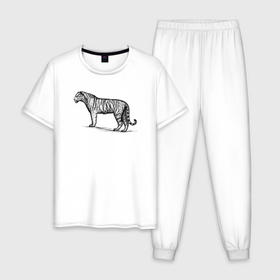 Мужская пижама хлопок с принтом Тигр в профиль в Курске, 100% хлопок | брюки и футболка прямого кроя, без карманов, на брюках мягкая резинка на поясе и по низу штанин
 | 