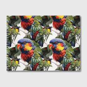 Альбом для рисования с принтом Яркие попугаи в Кировске, 100% бумага
 | матовая бумага, плотность 200 мг. | 