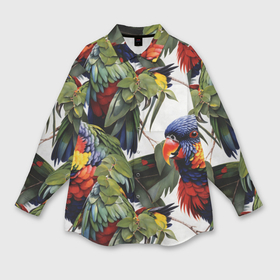 Мужская рубашка oversize 3D с принтом Яркие попугаи в Санкт-Петербурге,  |  | 