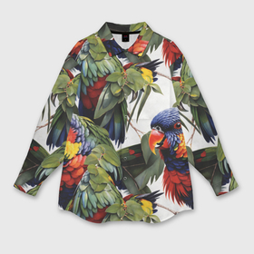 Женская рубашка oversize 3D с принтом Яркие попугаи в Белгороде,  |  | 