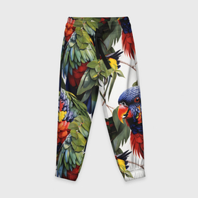 Детские брюки 3D с принтом Яркие попугаи в Тюмени, 100% полиэстер | манжеты по низу, эластичный пояс регулируется шнурком, по бокам два кармана без застежек, внутренняя часть кармана из мелкой сетки | 
