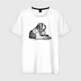 Мужская футболка хлопок с принтом Аляскинский маламут в Санкт-Петербурге, 100% хлопок | прямой крой, круглый вырез горловины, длина до линии бедер, слегка спущенное плечо. | 