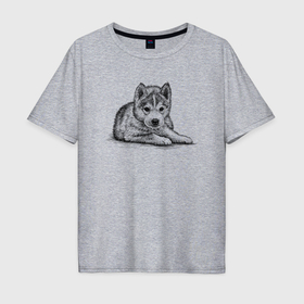 Мужская футболка хлопок Oversize с принтом Щенок собаки хаски в Белгороде, 100% хлопок | свободный крой, круглый ворот, “спинка” длиннее передней части | Тематика изображения на принте: 