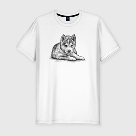 Мужская футболка хлопок Slim с принтом Щенок собаки хаски в Белгороде, 92% хлопок, 8% лайкра | приталенный силуэт, круглый вырез ворота, длина до линии бедра, короткий рукав | Тематика изображения на принте: 
