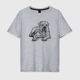 Мужская футболка хлопок Oversize с принтом Мастиф в Санкт-Петербурге, 100% хлопок | свободный крой, круглый ворот, “спинка” длиннее передней части | Тематика изображения на принте: 