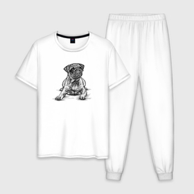 Мужская пижама хлопок с принтом Мопс удивился в Екатеринбурге, 100% хлопок | брюки и футболка прямого кроя, без карманов, на брюках мягкая резинка на поясе и по низу штанин
 | 