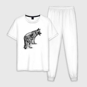 Мужская пижама хлопок с принтом Немецкая овчарка гуляет в Белгороде, 100% хлопок | брюки и футболка прямого кроя, без карманов, на брюках мягкая резинка на поясе и по низу штанин
 | 