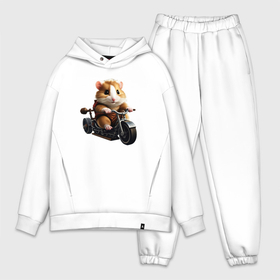 Мужской костюм oversize хлопок с принтом Хомякат в Ухте,  |  | 