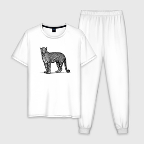 Мужская пижама хлопок с принтом Леопард стоит в Санкт-Петербурге, 100% хлопок | брюки и футболка прямого кроя, без карманов, на брюках мягкая резинка на поясе и по низу штанин
 | 
