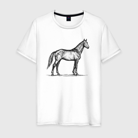 Мужская футболка хлопок с принтом Лошадь в профиль , 100% хлопок | прямой крой, круглый вырез горловины, длина до линии бедер, слегка спущенное плечо. | 