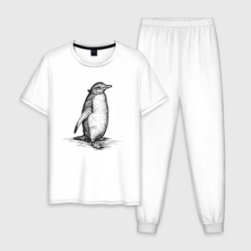 Мужская пижама хлопок с принтом Императорский пингвиненок в Екатеринбурге, 100% хлопок | брюки и футболка прямого кроя, без карманов, на брюках мягкая резинка на поясе и по низу штанин
 | 