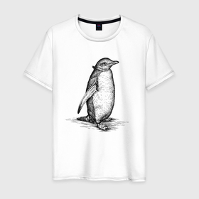 Мужская футболка хлопок с принтом Императорский пингвиненок в Екатеринбурге, 100% хлопок | прямой крой, круглый вырез горловины, длина до линии бедер, слегка спущенное плечо. | 