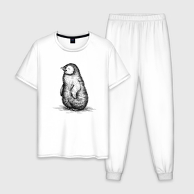 Мужская пижама хлопок с принтом Пингвиненок пушистый в Курске, 100% хлопок | брюки и футболка прямого кроя, без карманов, на брюках мягкая резинка на поясе и по низу штанин
 | Тематика изображения на принте: 