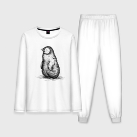 Мужская пижама с лонгсливом хлопок с принтом Пингвиненок пушистый в Курске,  |  | Тематика изображения на принте: 