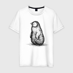 Мужская футболка хлопок с принтом Пингвиненок пушистый в Кировске, 100% хлопок | прямой крой, круглый вырез горловины, длина до линии бедер, слегка спущенное плечо. | 