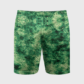 Мужские шорты спортивные с принтом Шкура рептилии ярко зелёного цвета в Петрозаводске,  |  | 