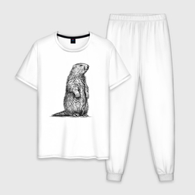 Мужская пижама хлопок с принтом Суслик стоит в Белгороде, 100% хлопок | брюки и футболка прямого кроя, без карманов, на брюках мягкая резинка на поясе и по низу штанин
 | Тематика изображения на принте: 