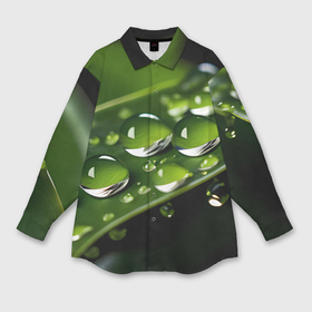 Мужская рубашка oversize 3D с принтом Роса на траве макро ,  |  | Тематика изображения на принте: 