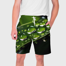 Мужские шорты 3D с принтом Роса на траве макро в Тюмени,  полиэстер 100% | прямой крой, два кармана без застежек по бокам. Мягкая трикотажная резинка на поясе, внутри которой широкие завязки. Длина чуть выше колен | 