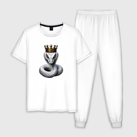 Мужская пижама хлопок с принтом Царская змея в Курске, 100% хлопок | брюки и футболка прямого кроя, без карманов, на брюках мягкая резинка на поясе и по низу штанин
 | Тематика изображения на принте: 