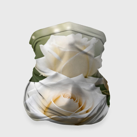 Бандана-труба 3D с принтом Белые чайные розы в Петрозаводске, 100% полиэстер, ткань с особыми свойствами — Activecool | плотность 150‒180 г/м2; хорошо тянется, но сохраняет форму | Тематика изображения на принте: 