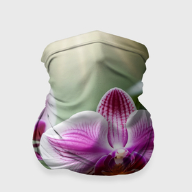 Бандана-труба 3D с принтом Орхидеи дикорастущие в Кировске, 100% полиэстер, ткань с особыми свойствами — Activecool | плотность 150‒180 г/м2; хорошо тянется, но сохраняет форму | Тематика изображения на принте: 