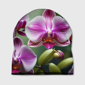 Шапка 3D с принтом Орхидеи дикорастущие в Кировске, 100% полиэстер | универсальный размер, печать по всей поверхности изделия | Тематика изображения на принте: 