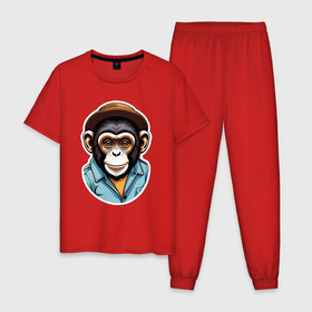 Мужская пижама хлопок с принтом Портрет обезьяны в шляпе , 100% хлопок | брюки и футболка прямого кроя, без карманов, на брюках мягкая резинка на поясе и по низу штанин
 | 