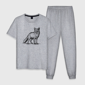 Мужская пижама хлопок с принтом Лиса в полный рост в Санкт-Петербурге, 100% хлопок | брюки и футболка прямого кроя, без карманов, на брюках мягкая резинка на поясе и по низу штанин
 | 