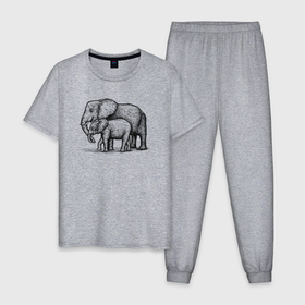 Мужская пижама хлопок с принтом Слониха и слоненок в Санкт-Петербурге, 100% хлопок | брюки и футболка прямого кроя, без карманов, на брюках мягкая резинка на поясе и по низу штанин
 | 