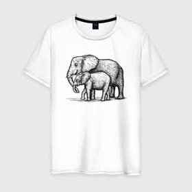 Мужская футболка хлопок с принтом Слониха и слоненок в Екатеринбурге, 100% хлопок | прямой крой, круглый вырез горловины, длина до линии бедер, слегка спущенное плечо. | 