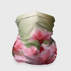 Бандана-труба 3D с принтом Нежно розовые лилии в лучах солнца в Тюмени, 100% полиэстер, ткань с особыми свойствами — Activecool | плотность 150‒180 г/м2; хорошо тянется, но сохраняет форму | 