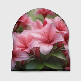Шапка 3D с принтом Нежно розовые лилии в лучах солнца в Тюмени, 100% полиэстер | универсальный размер, печать по всей поверхности изделия | 