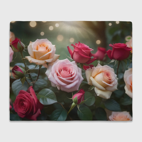 Плед 3D с принтом Разноцветные розы садовые в Курске, 100% полиэстер | закругленные углы, все края обработаны. Ткань не мнется и не растягивается | 