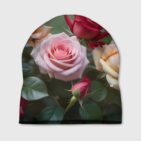 Шапка 3D с принтом Разноцветные розы садовые в Курске, 100% полиэстер | универсальный размер, печать по всей поверхности изделия | 