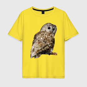 Мужская футболка хлопок Oversize с принтом Серая сова в Курске, 100% хлопок | свободный крой, круглый ворот, “спинка” длиннее передней части | 