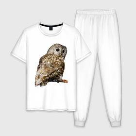 Мужская пижама хлопок с принтом Серая сова в Санкт-Петербурге, 100% хлопок | брюки и футболка прямого кроя, без карманов, на брюках мягкая резинка на поясе и по низу штанин
 | 