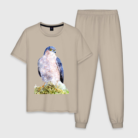 Мужская пижама хлопок с принтом Молодой сокол в Тюмени, 100% хлопок | брюки и футболка прямого кроя, без карманов, на брюках мягкая резинка на поясе и по низу штанин
 | 