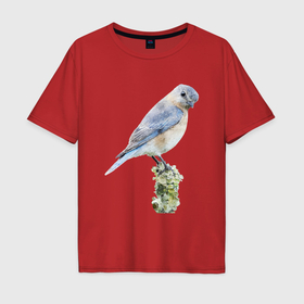 Мужская футболка хлопок Oversize с принтом Птичка голубая сиалия в Санкт-Петербурге, 100% хлопок | свободный крой, круглый ворот, “спинка” длиннее передней части | Тематика изображения на принте: 