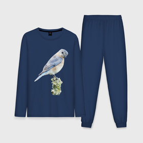 Мужская пижама с лонгсливом хлопок с принтом Птичка голубая сиалия в Санкт-Петербурге,  |  | 