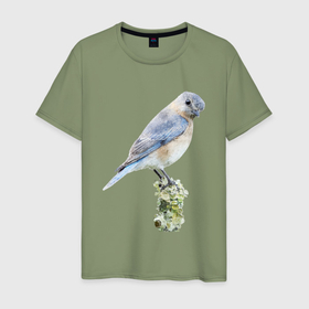 Мужская футболка хлопок с принтом Птичка голубая сиалия в Санкт-Петербурге, 100% хлопок | прямой крой, круглый вырез горловины, длина до линии бедер, слегка спущенное плечо. | Тематика изображения на принте: 