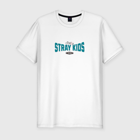 Мужская футболка хлопок Slim с принтом Stray Kids legendary в Курске, 92% хлопок, 8% лайкра | приталенный силуэт, круглый вырез ворота, длина до линии бедра, короткий рукав | 