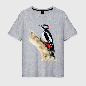 Мужская футболка хлопок Oversize Пёстрый дятел на дереве: в Ухте, 100% хлопок | свободный крой, круглый ворот, “спинка” длиннее передней части |