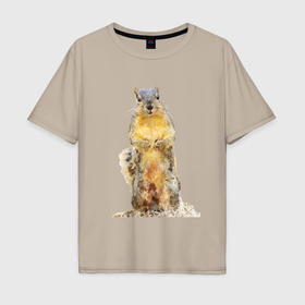 Мужская футболка хлопок Oversize с принтом Белка осенью в Тюмени, 100% хлопок | свободный крой, круглый ворот, “спинка” длиннее передней части | 