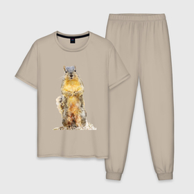 Мужская пижама хлопок с принтом Белка осенью в Тюмени, 100% хлопок | брюки и футболка прямого кроя, без карманов, на брюках мягкая резинка на поясе и по низу штанин
 | 