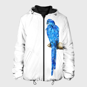 Мужская куртка 3D с принтом Птица синий попугай на дереве в Новосибирске, ткань верха — 100% полиэстер, подклад — флис | прямой крой, подол и капюшон оформлены резинкой с фиксаторами, два кармана без застежек по бокам, один большой потайной карман на груди. Карман на груди застегивается на липучку | 