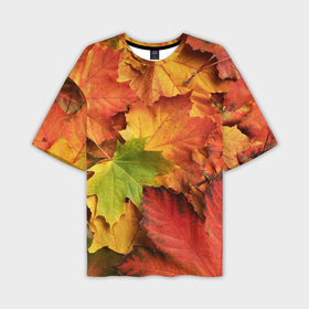 Мужская футболка oversize 3D с принтом Осенние яркие кленовые листья в Санкт-Петербурге,  |  | 