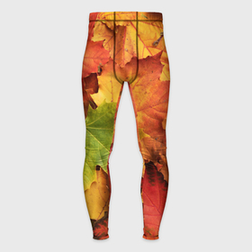Мужские тайтсы 3D с принтом Осенние яркие кленовые листья в Курске,  |  | Тематика изображения на принте: 